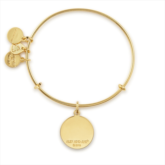 NWT, Alex and Ani U.S. Coast Guard Bangle Bracelet - Picture 3 of 7